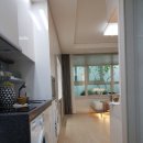 신화5호 이미지