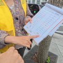 자유지역 편의점 | 도쿄 후지산 투어 후기 자유여행 중 하루 일정 비 오는 날 당일 투어 패키지 솔직 후기