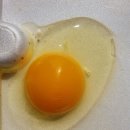 백봉오골계 부성농원 이미지