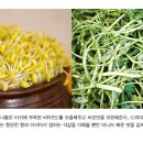대박아구찜 이미지