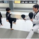 큰솔 태권도 이미지