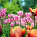 서울근교 당일치기 여행-양평 쉬자파크 休~