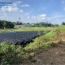 광명리마을회관 이미지