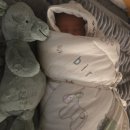 (주)정인앤비전 | 엔젤앤비 역방쿠 (역류방지쿠션) 0도쿠션,내돈내산 솔직후기