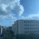 세화이용원 | 제주] 2일차 - 조천항, 월정리 해변, 재연식당, 세화해수욕장, 종달수다뜰 당근주스, 카페 글렌코...