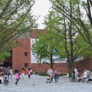 마로니에공원 이미지