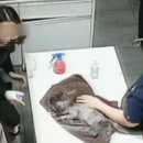 고동물병원 이미지