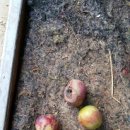 병세농장 이미지