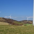 도고목장 이미지