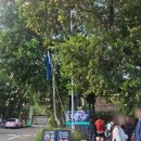 블루마운틴 | 호주 시드니 오픈런 페더데일동물원 &amp; 블루마운틴 투어 후기