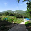 용초슈퍼