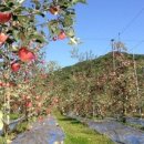 잠실농장 이미지