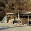 임진강 햇살 글램핑 이미지