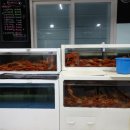 원빈수산 이미지