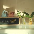 소브로704 이미지
