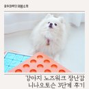 강아지 노즈워크 장난감 니나오토슨 3단계 후기