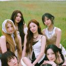 퍼플키스 카카오 검색결과