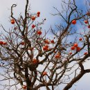 시골정취 이미지