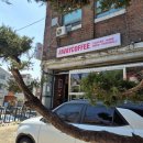 신갈천 상갈동 이미지