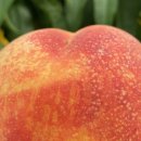 월미농장 이미지