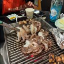 살아있는 꼼장어 - 김해시 | 이수역 어부의 딸 살아있는 쭈꾸미&꼼장어 맛집 내돈내산 후기