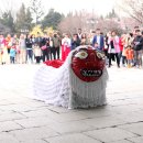 춤연