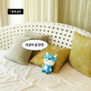 해룡투어 티스토리