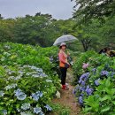 06월29일(토) 통영/만화방초-등대낚시공원-한산마리나리조트(다빈님진행) 이미지