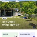 멜리플루어스
