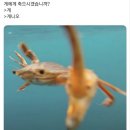 [EF 뉴욕 어학연수 후기 09] 5월 정산中