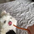 일미리성형외과의원 | 일미리성형외과 비절개눈매교정 후기 2