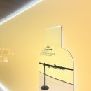 목요일 | 성수동 온그리디언츠 목요일 방문후기