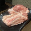 샌드파인GC