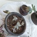 성베드로한방병원 이미지