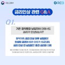 더쏠 이미지