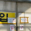 부산 꽃시장 기장 미래화훼단지에서 꽃구경해요