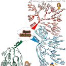 [손맵] 수채 마인드맵(watercolored mindmap) 작품 최초 공개~~ 이미지