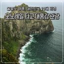 향목 | 울릉도 관광 태하 향목 관광 모노레일타고 대풍감 구경 후기