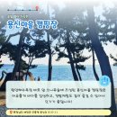 [용신마을]용신어촌체험마을 티스토리
