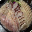 목포군산회집 | 신당 횟집 추천 신당 맛집 군산횟집 제철 민어회 모듬회