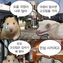 금장종로떡접 | 사랑한단 말로는 전할 수가 없어서 | 260701~260704