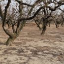 압량읍사무소 이미지