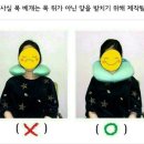 쎄이헤어 이미지