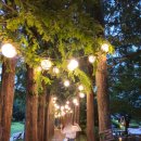 직지송어회집 이미지