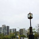 테라스461