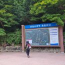 제280차 기백산~금원산 정기산행(함양) 이미지
