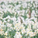 한림공원 이미지