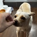 강릉우리집 | 강릉 신혼집 웨딩스냅 후기 우리만의 공간에서, 우리만의 이야기로