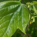 판산골농장 이미지