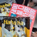 캣츠나비 | 25.12.06 궁디팡팡 캣페스타 서울 SETEC 방문후기